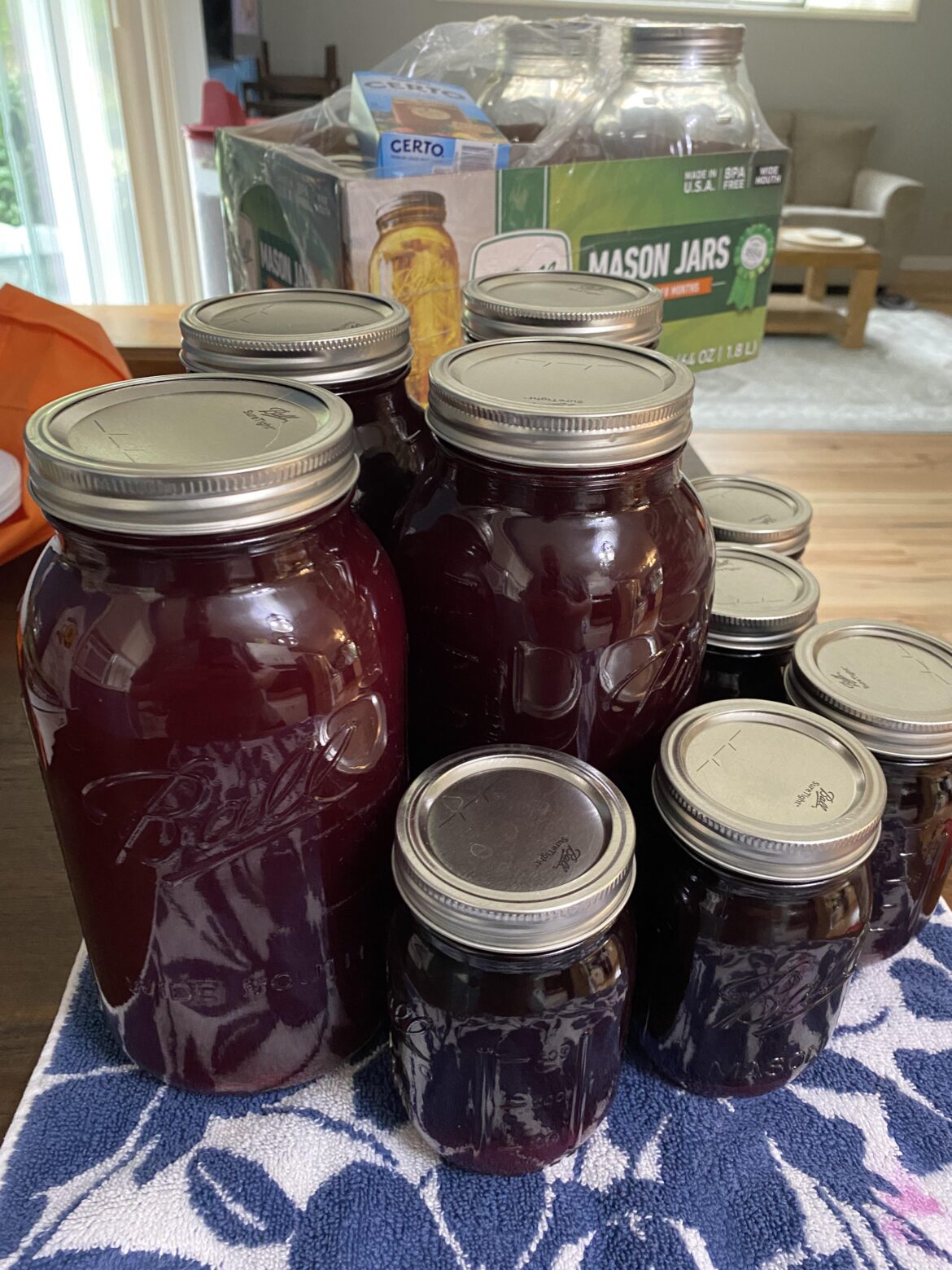 35 pounds of Concorde grapes off two plants roughy 4 gallons of juice.