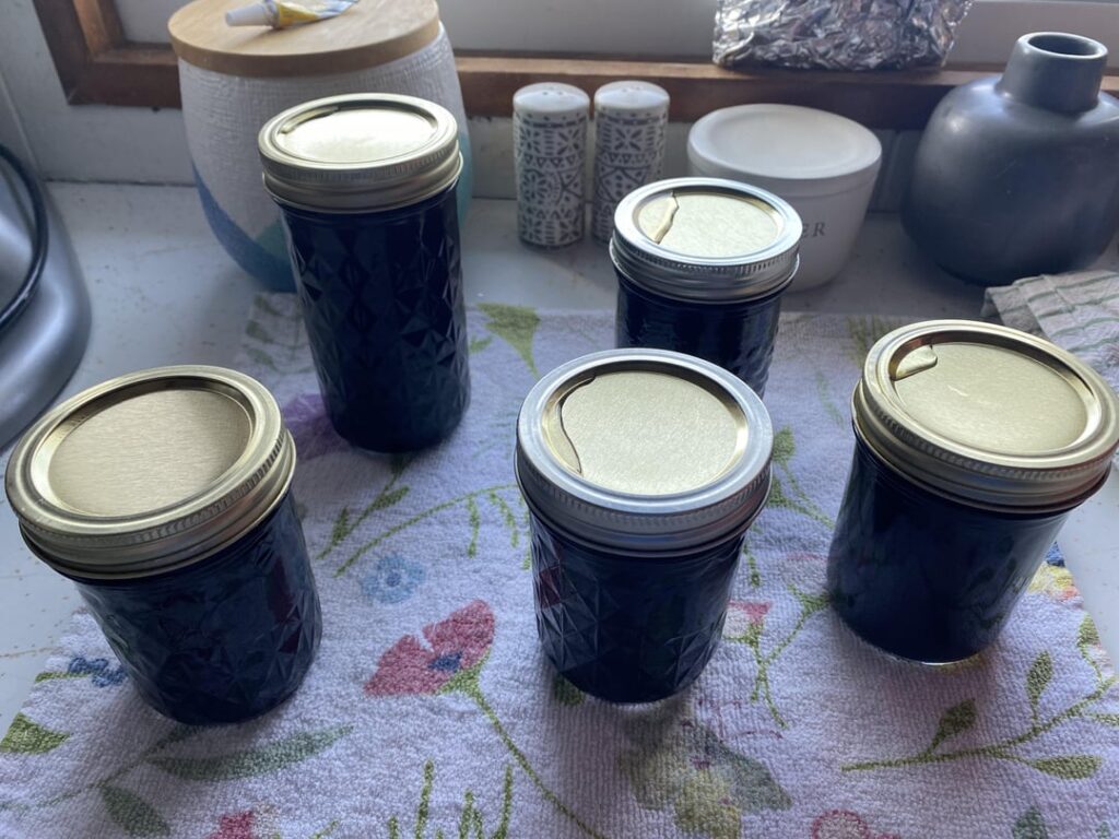 Elderberry Jelly