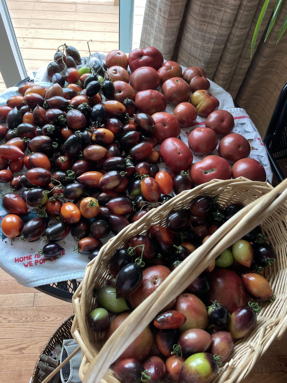 Can I can cold tomato sauce?