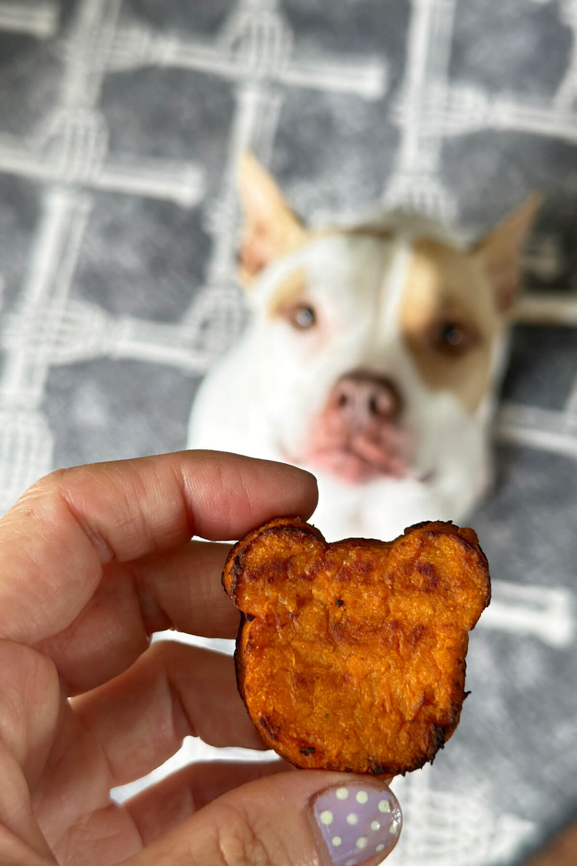 in case store bought sweet potato tots aren't cute enough