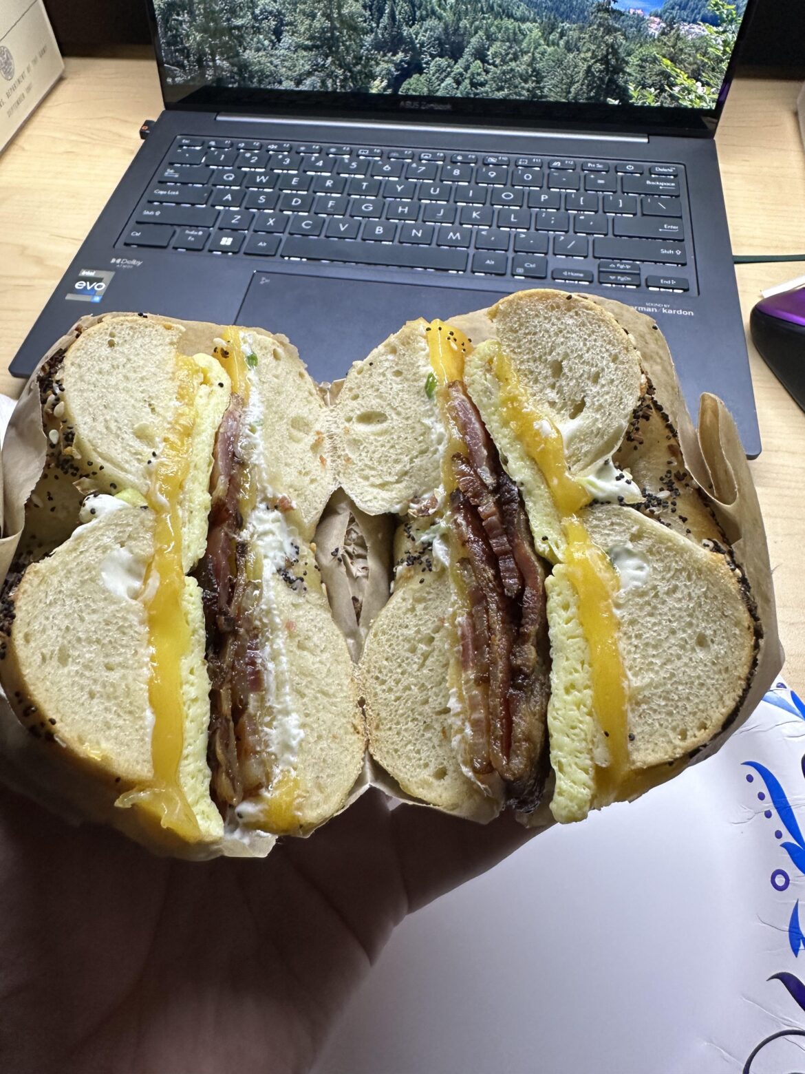 Baconeggancheese on everything