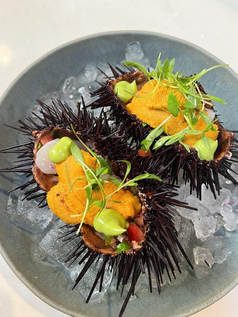 Holbox, unreal as always.