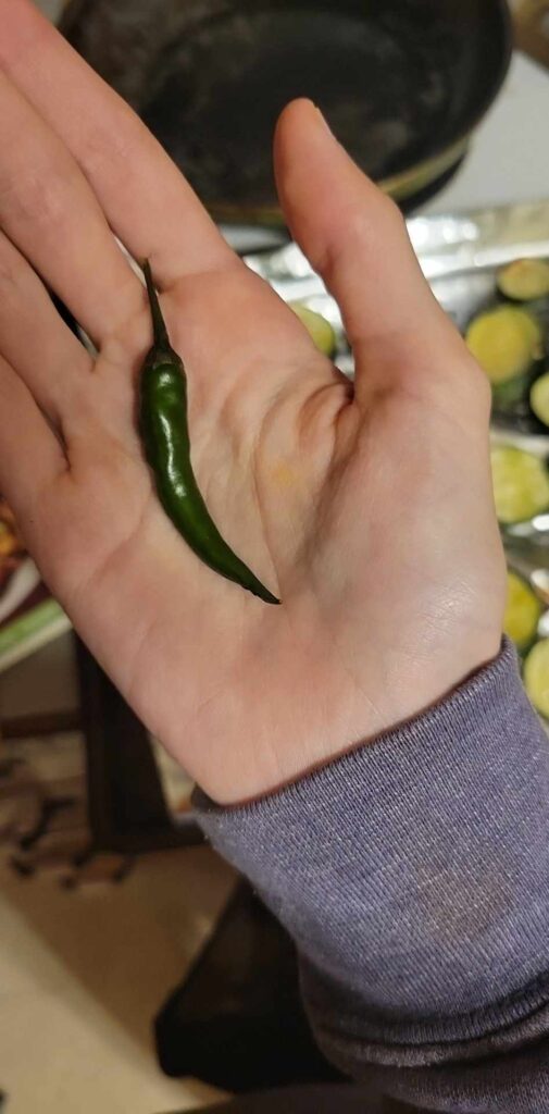 Almost lost this guy while cooking