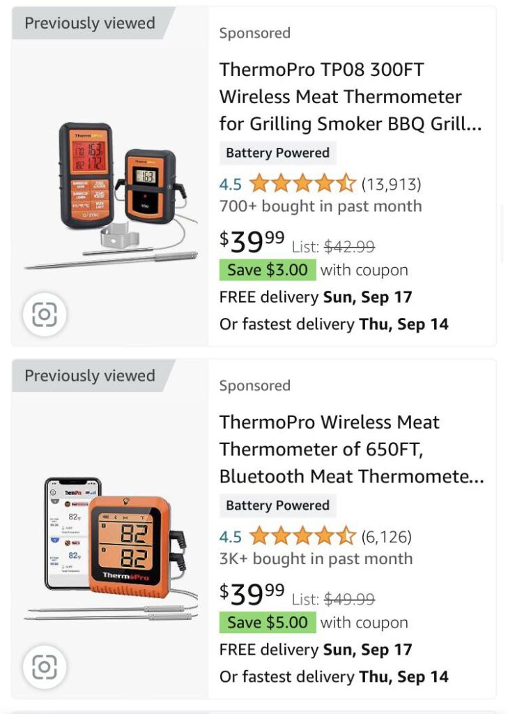 Thermometer recommendations for the Kettle?