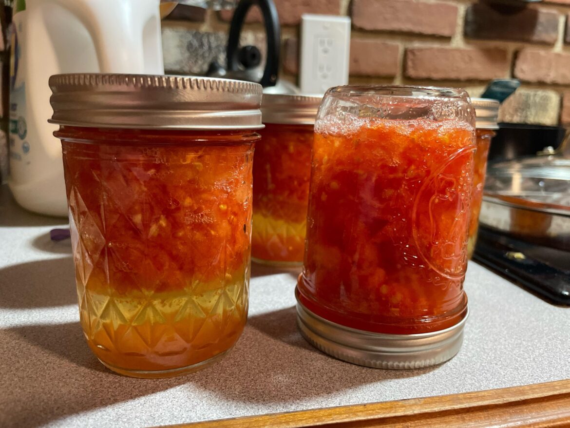 Did I screw up? – First time canning tomatoes Did I screw up? - First time canning tomatoes