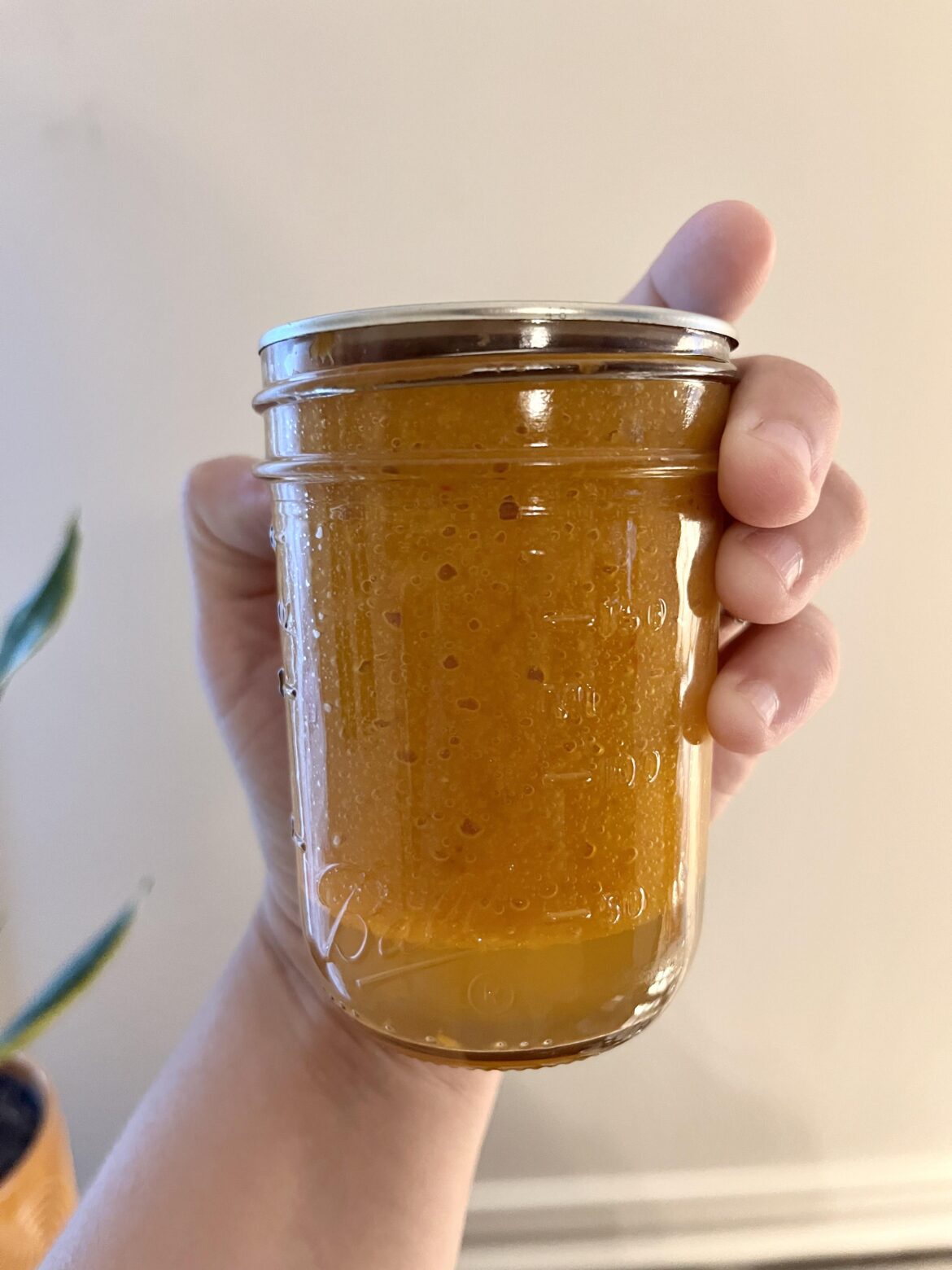 Why is my peach BBQ sauce separating? Ball recipe.