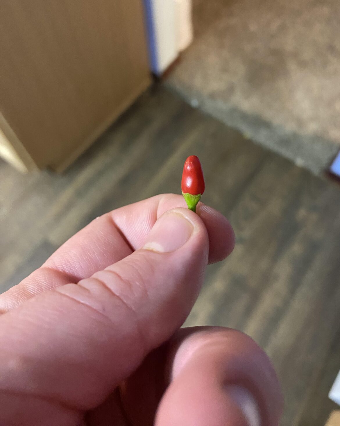 It’s seriously not right how hot this is! It’s like reaper hot