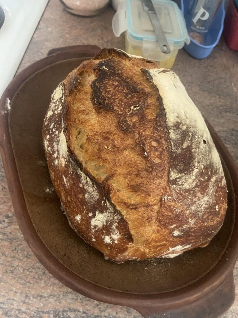 Rate my bread Rate my bread