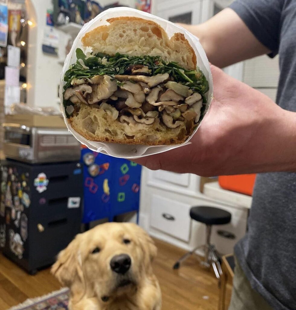 Been foraging mushrooms for about a decade and mushroom sandwiches are still my favorite thing to cook.