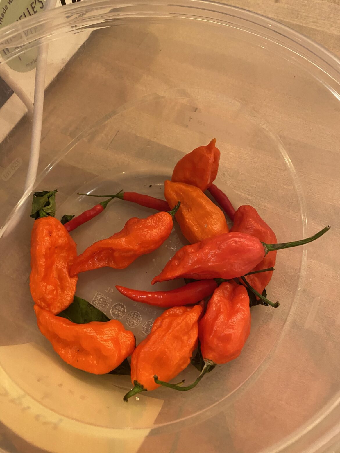 Can anyone identify these peppers?