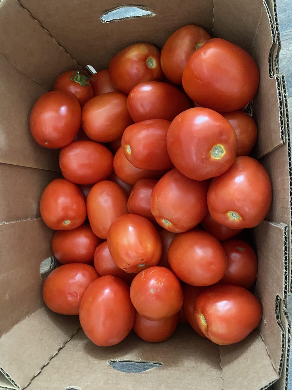 What can I do with a full box of tomatoes?