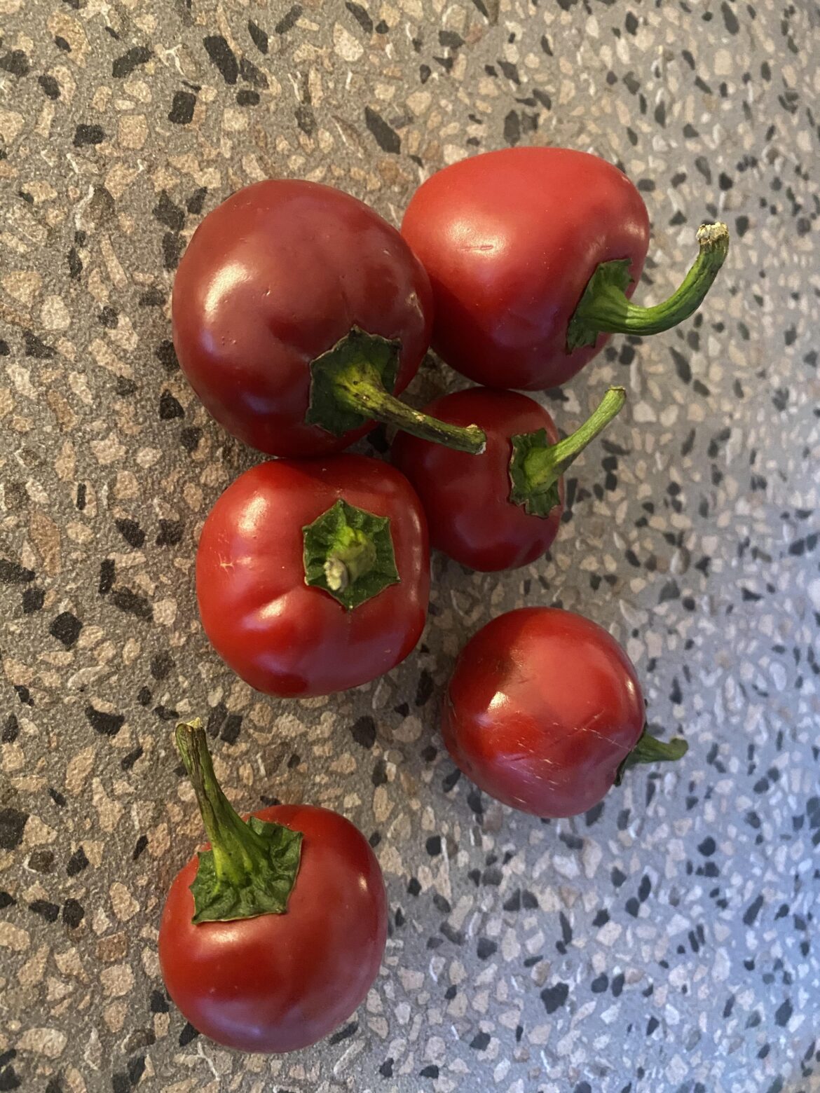 What Chilis are these?