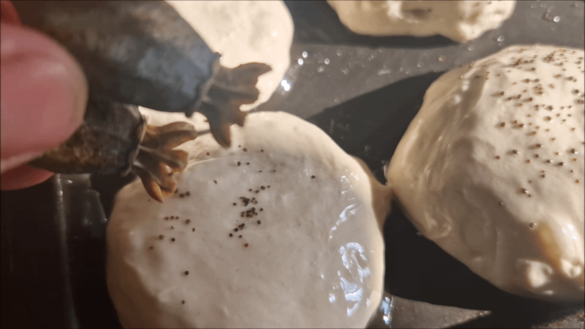 Poppy seeds directly from the pod