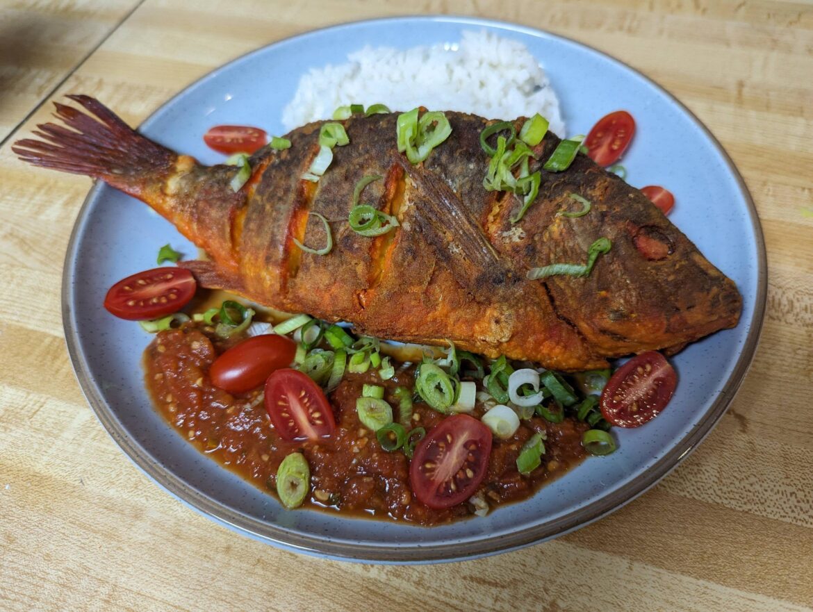 Fried whole snapper over rice with fresh salsa