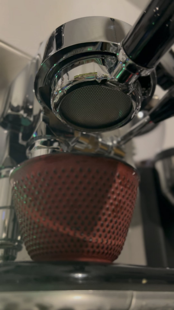 Im new, how is my extraction?