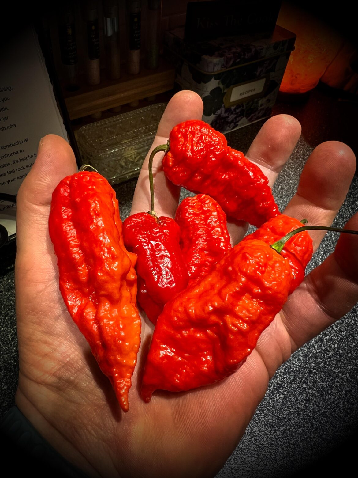 Delicious fresh picked Ghost Peppers 🤤