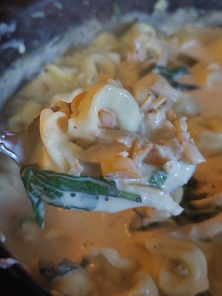 Chicken Tortellini soup in the slow cooker