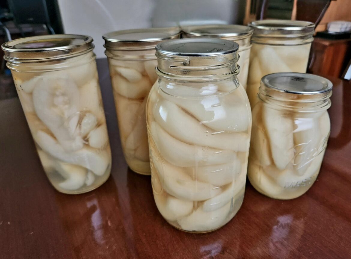 I canned pears this week