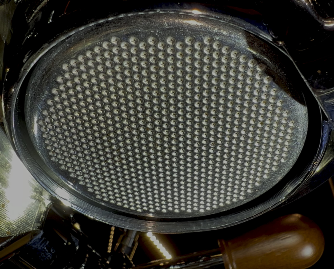 Happy Saturday Everyone