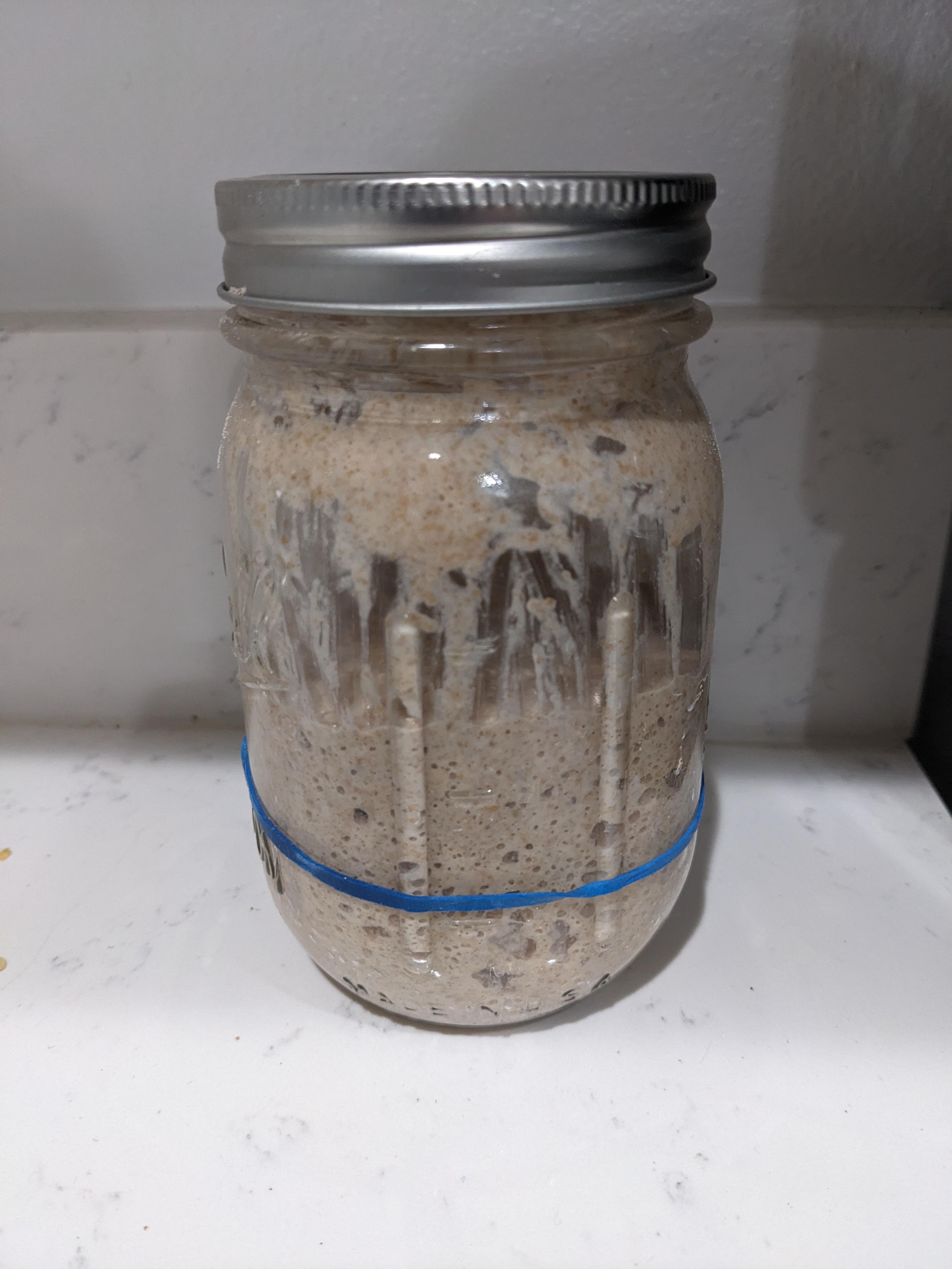 How does my sourdough starter look? Dining and Cooking
