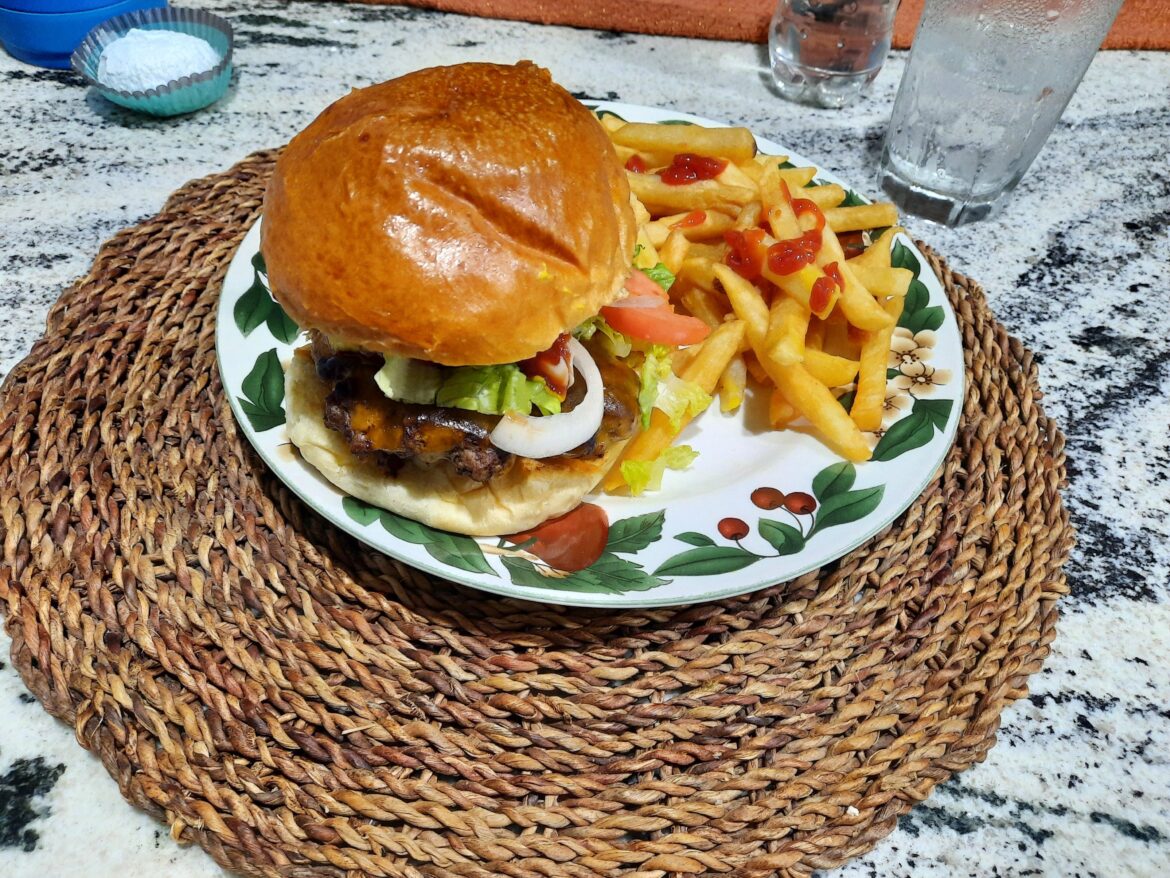 CheeseBurger 🍔 and Fries 🍟