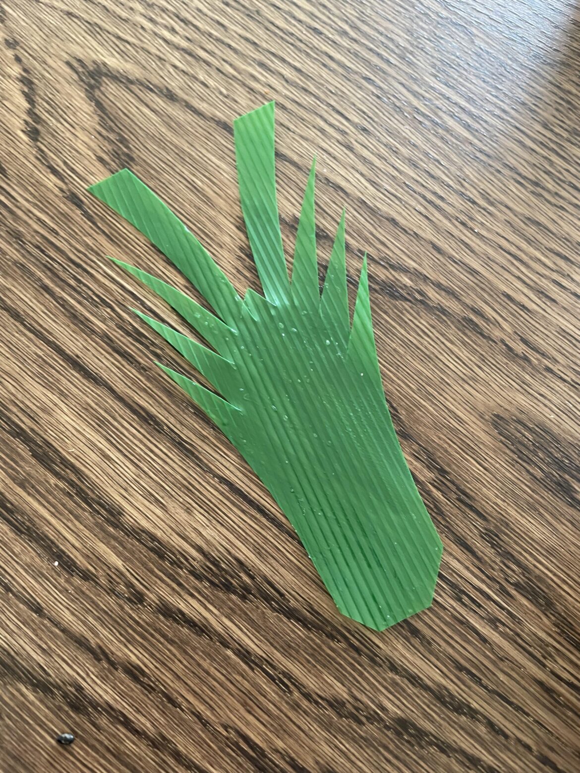 Can someone tell me what this is?