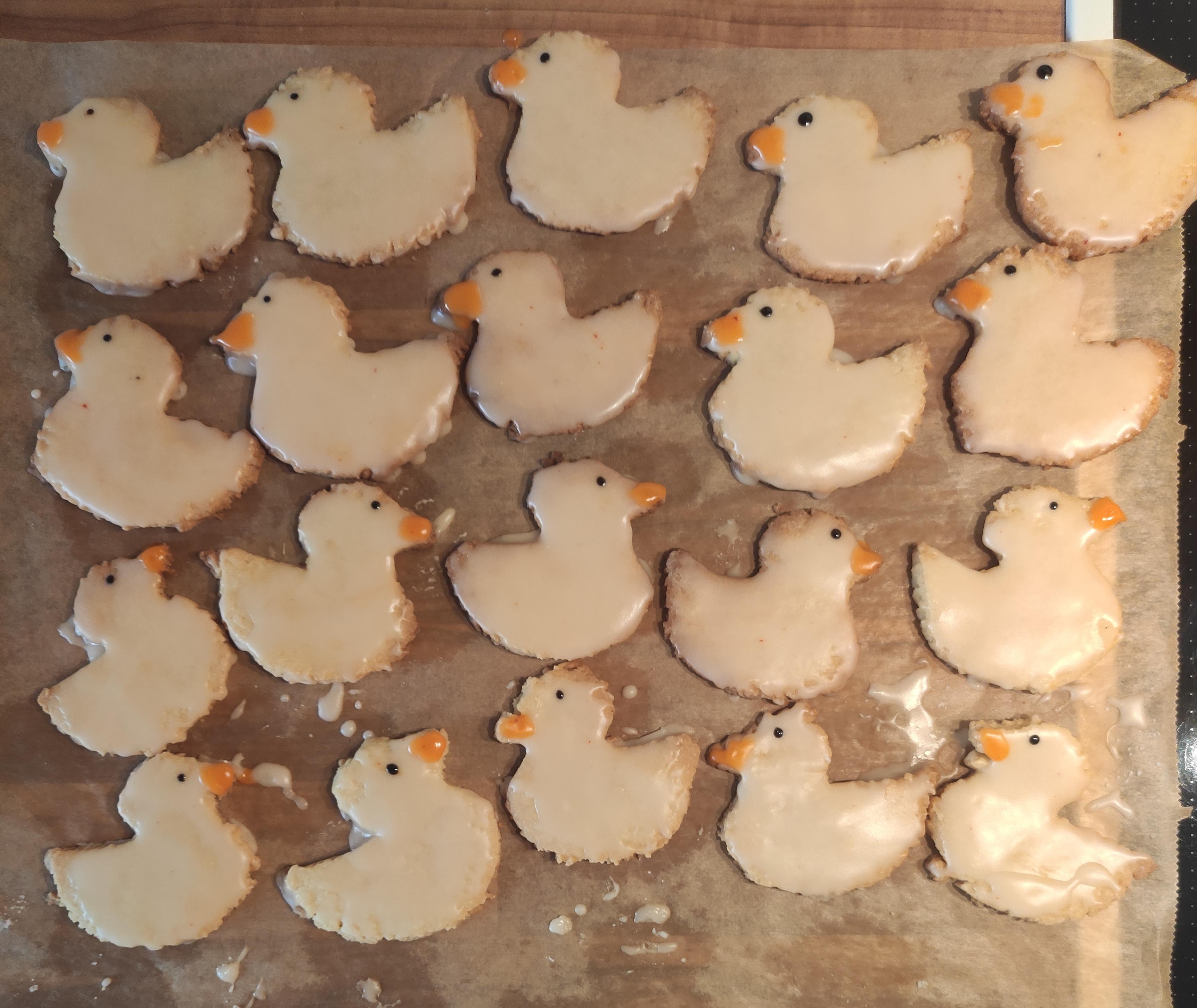 Tried to make duck cookies for my wife (they look like they have seen