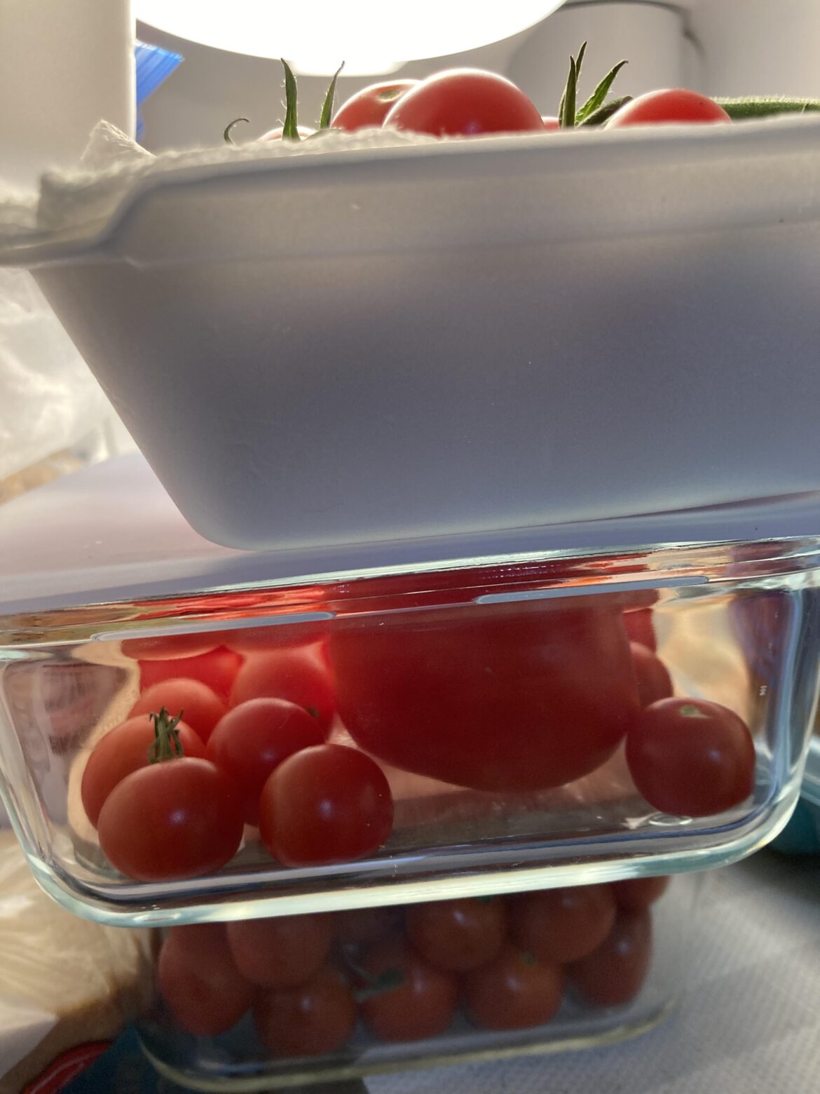 5lbs of cherry tomatoes - What to make?