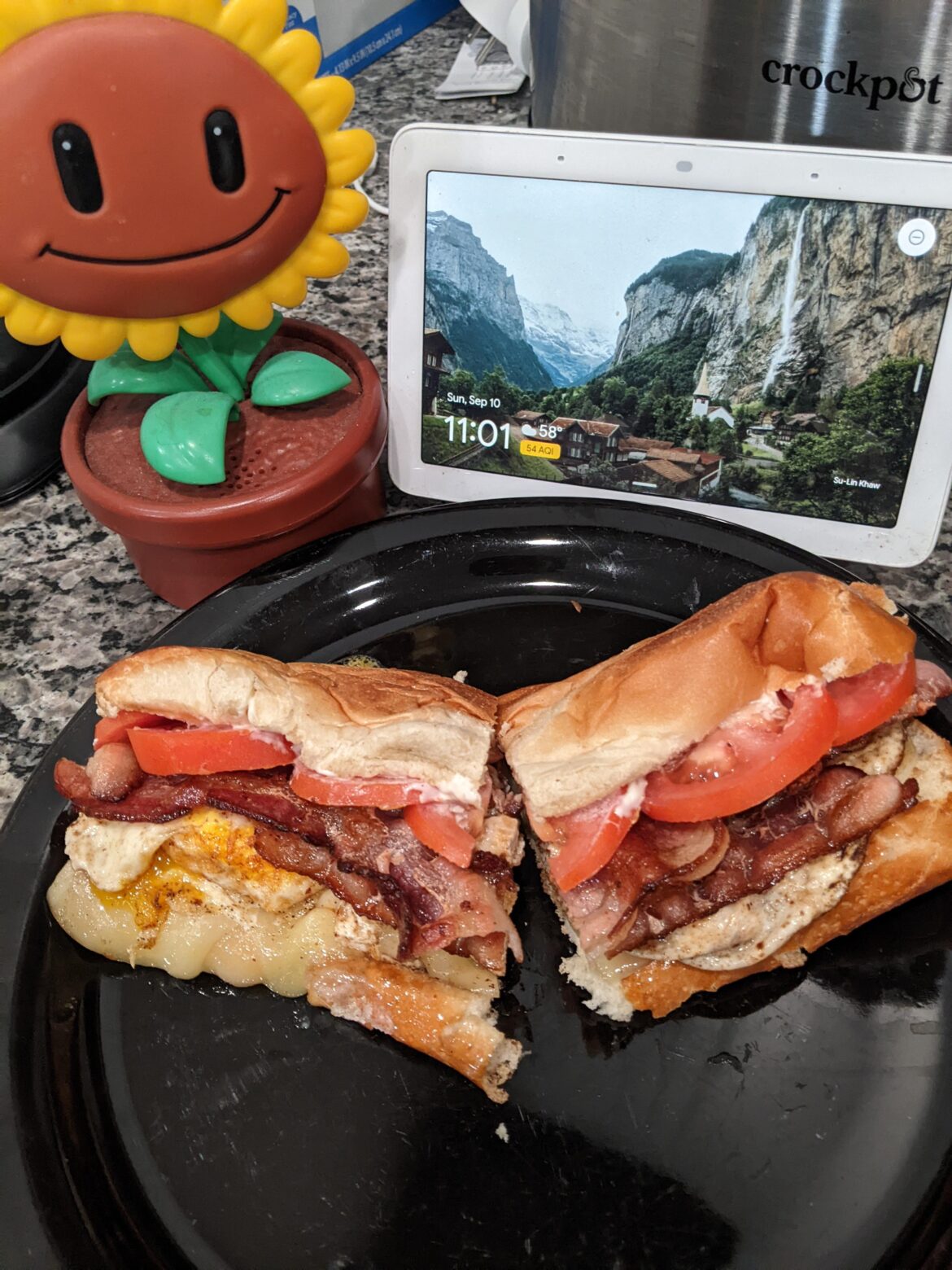 The famous sloppy bitch sandwich!