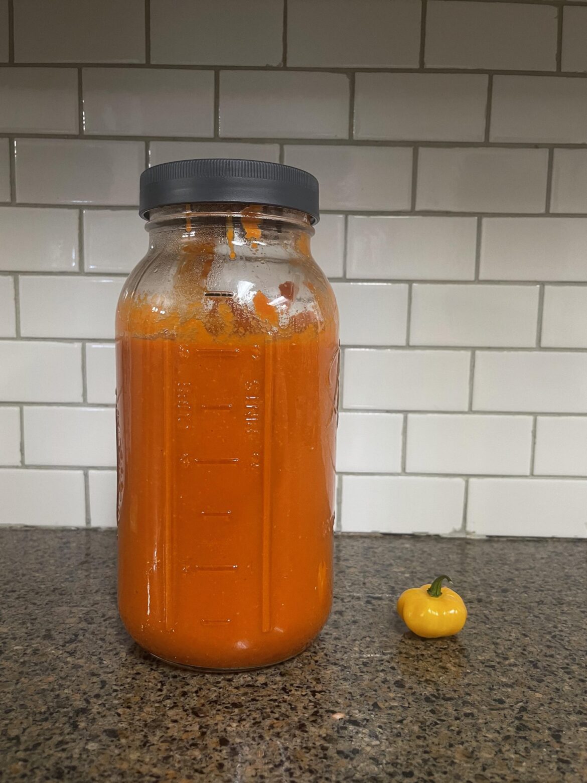 Three pints of puréed, fermented reaper/ghost mash w/garlic. Honestly tastes amazing as is…although potent would be a drastic understatement.