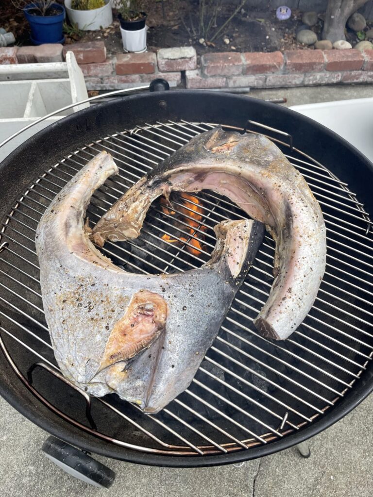 Tuna collar on Labor Day