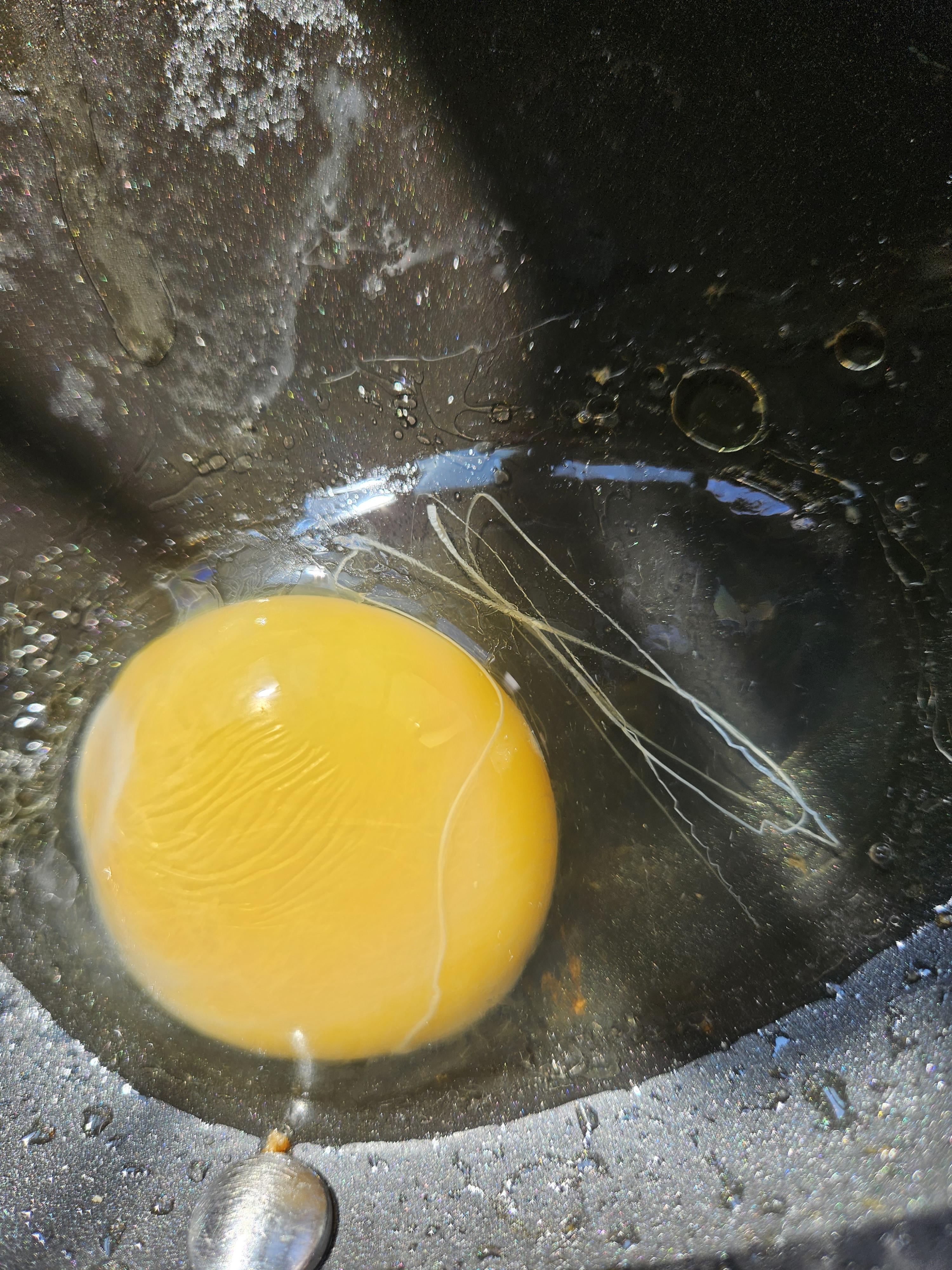 Anyone ever see this before?.. Is this a worm in my egg?? Dining and