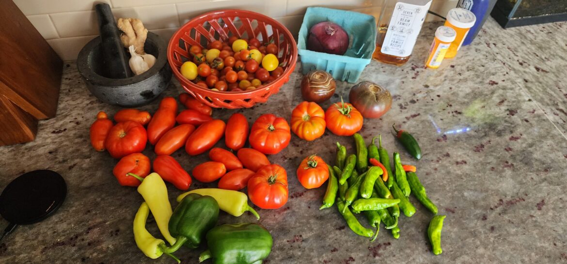 What to make with fresh veggies?