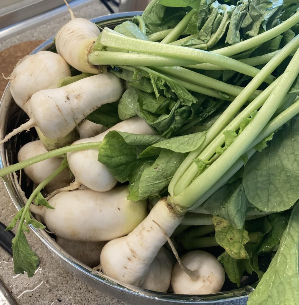 First time making chonggak kimchi First time making chonggak kimchi