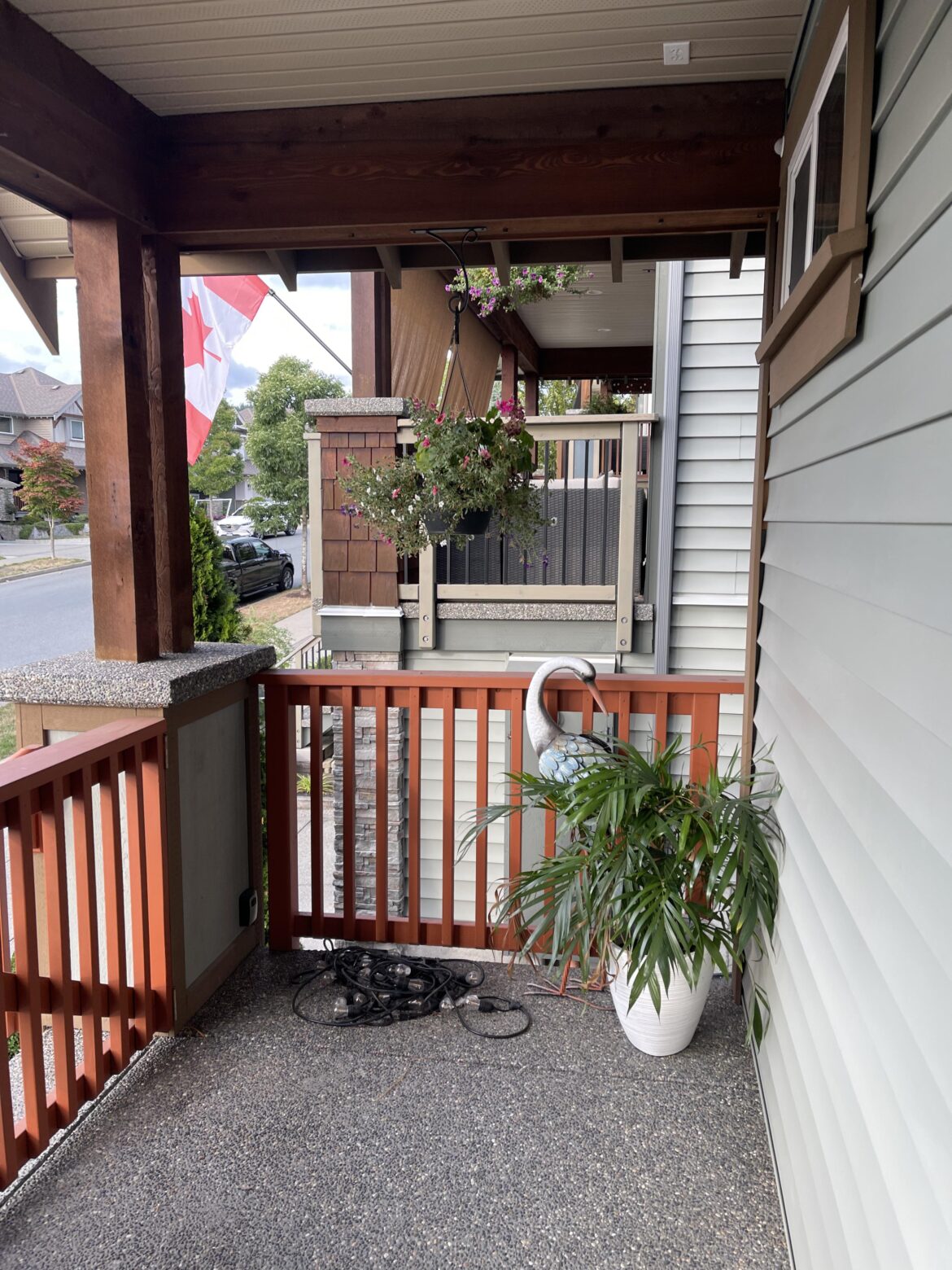 New to the family! Looking at placement.