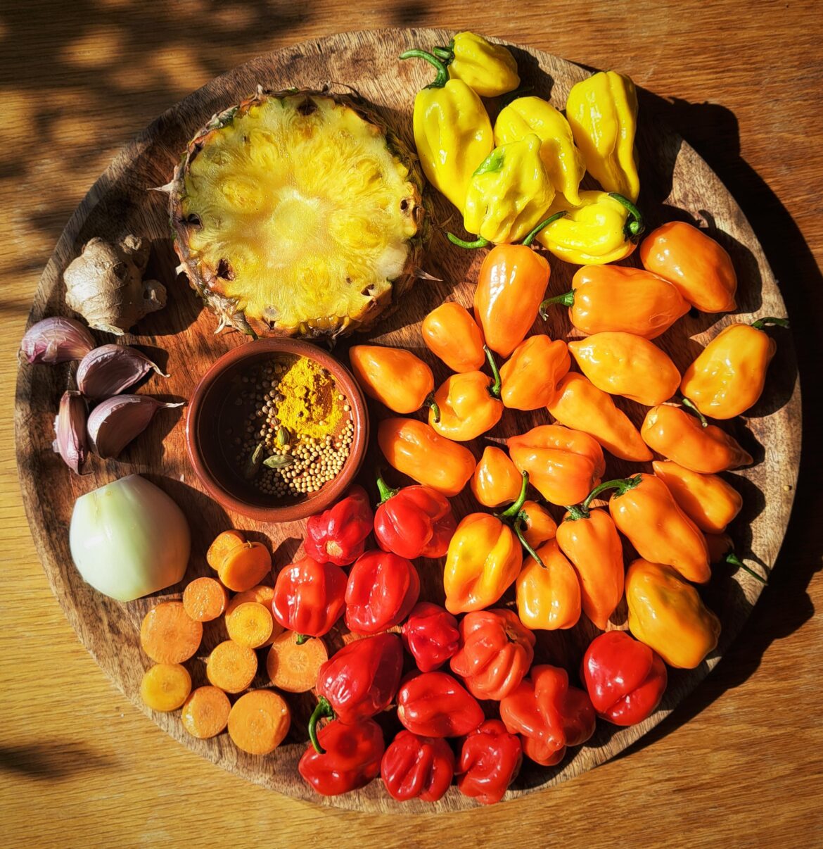 First batch of hot pepper harvest, ready to ferment in a pineapple hot sauce.