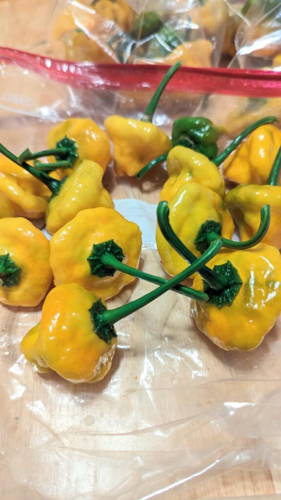 Pepper nerds, unite for IDs! Pepper nerds, unite for IDs!