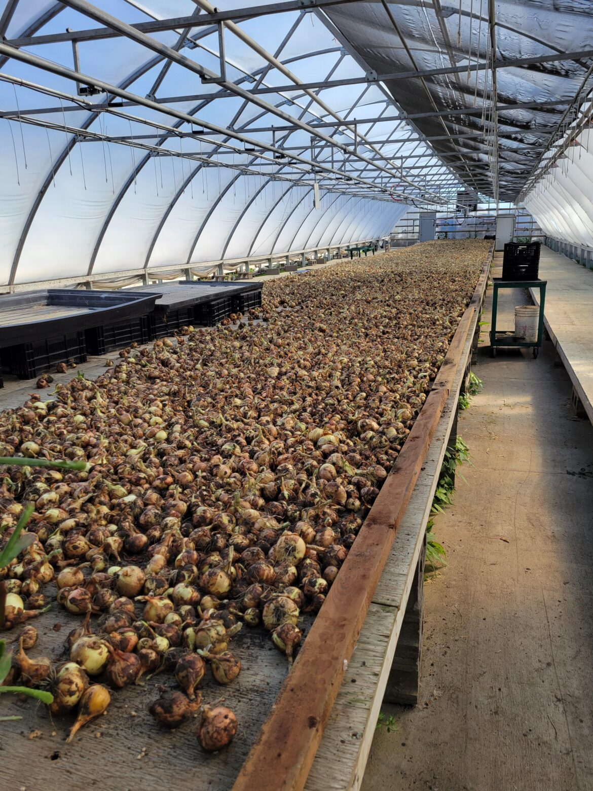 This is more like it...