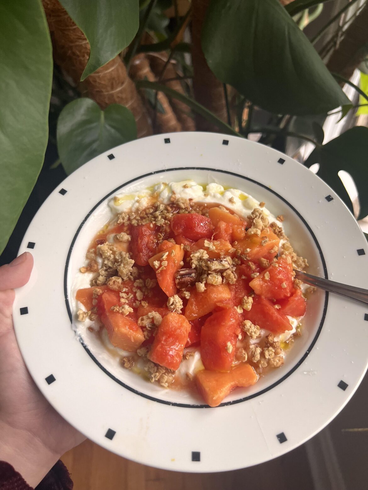 Papaya dressed with bitter lime syrup and lime juice, maple and pecan granola, and whole milk yogurt topped with a generous drizzle of olive oil and sea salt! 🦋