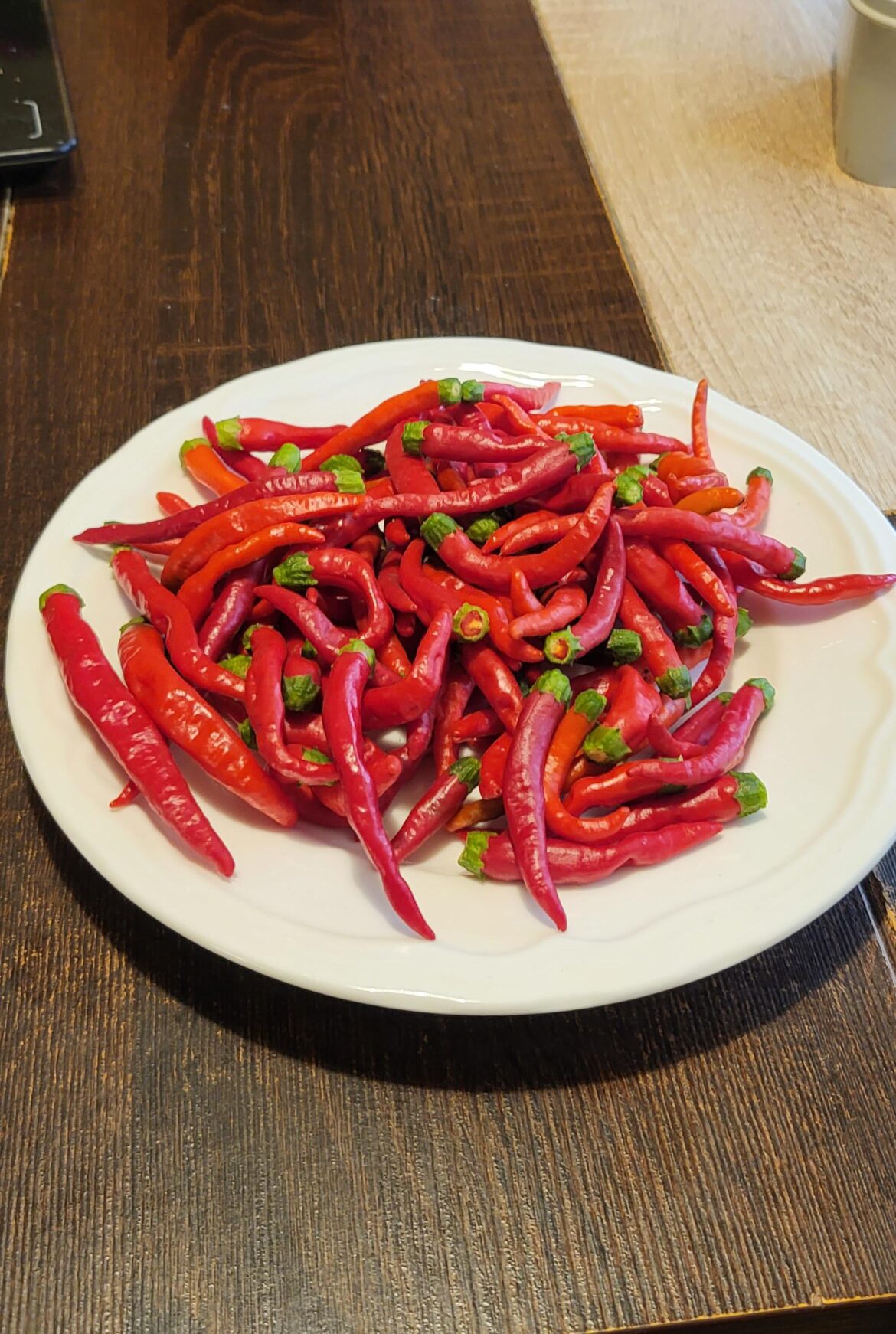 First time growwers, first harvest!