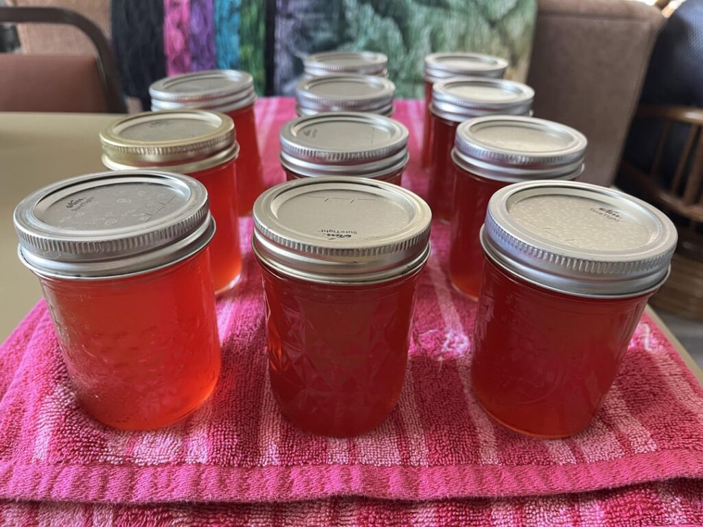 First batch of wild plum is done and it is a gorgeous color