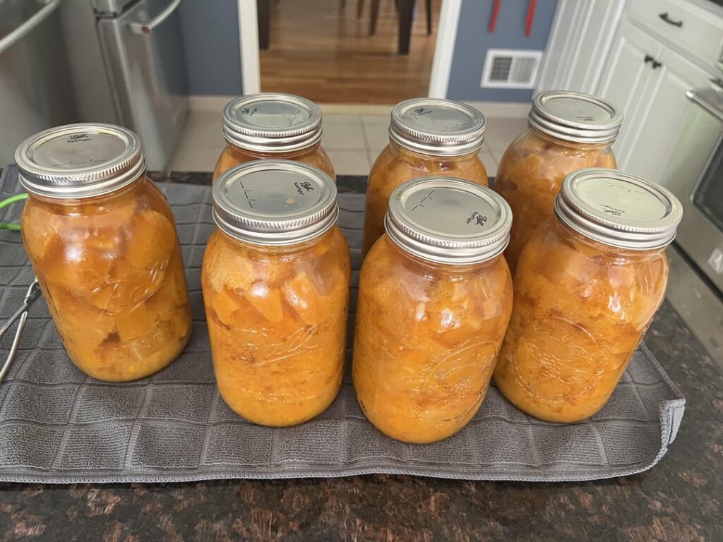 Update: stock instead of water for BNut squash soup