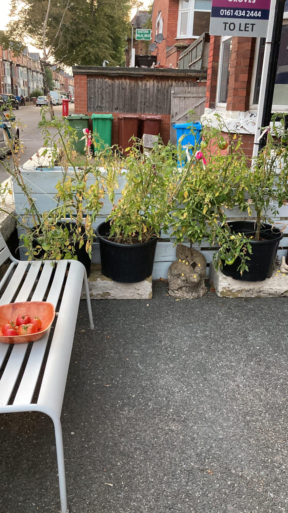 Not sure if this was wise but it’s done now.