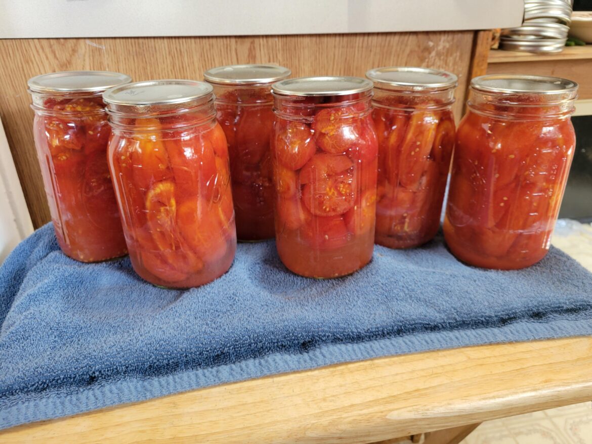 This year we pressure canned our tomatoes for the 1st time. This year we pressure canned our tomatoes for the 1st time.