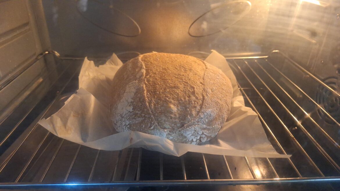 How can I get an ear. When i cut it, it just spread How can I get an ear. When i cut it, it just spread