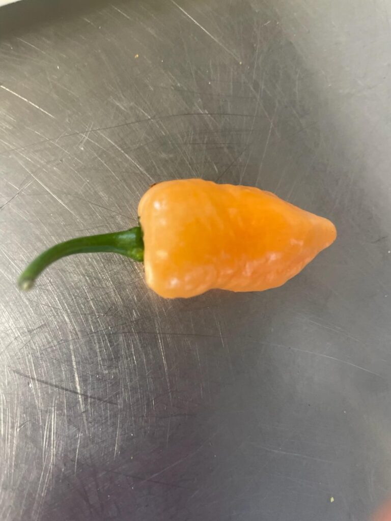 Ate half the first quarter of the second