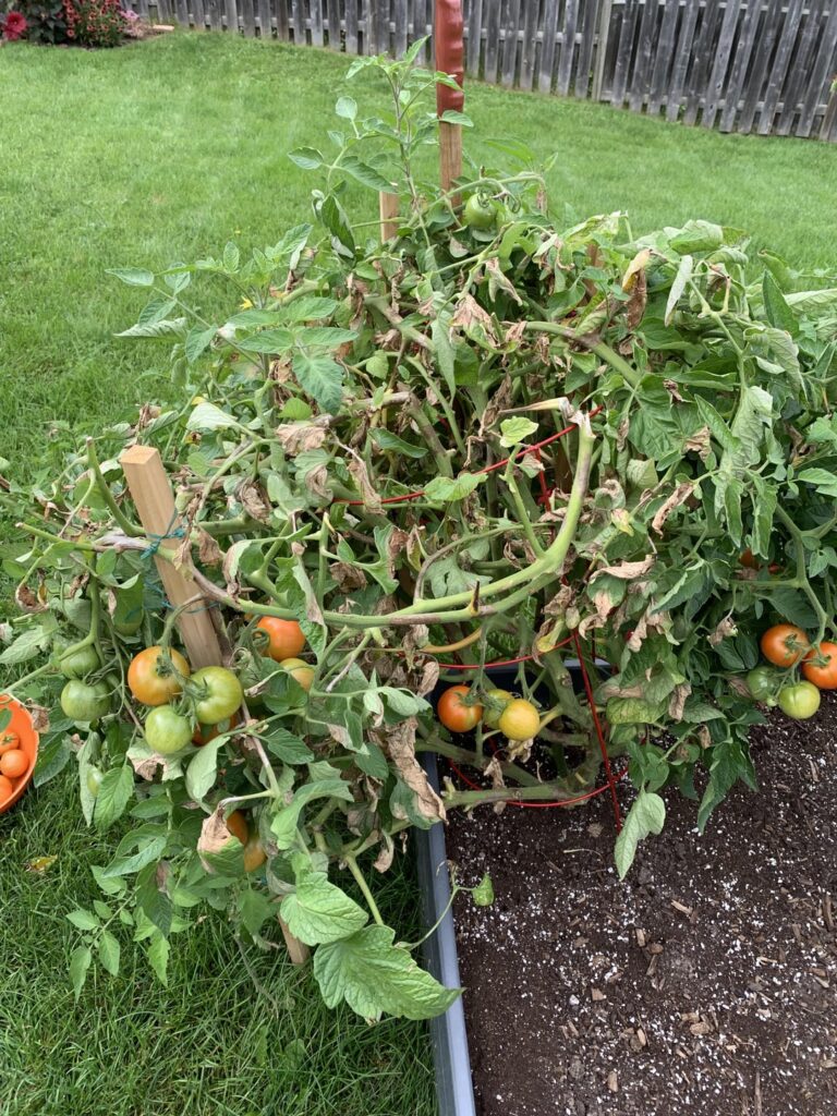 What’s going on here ?!