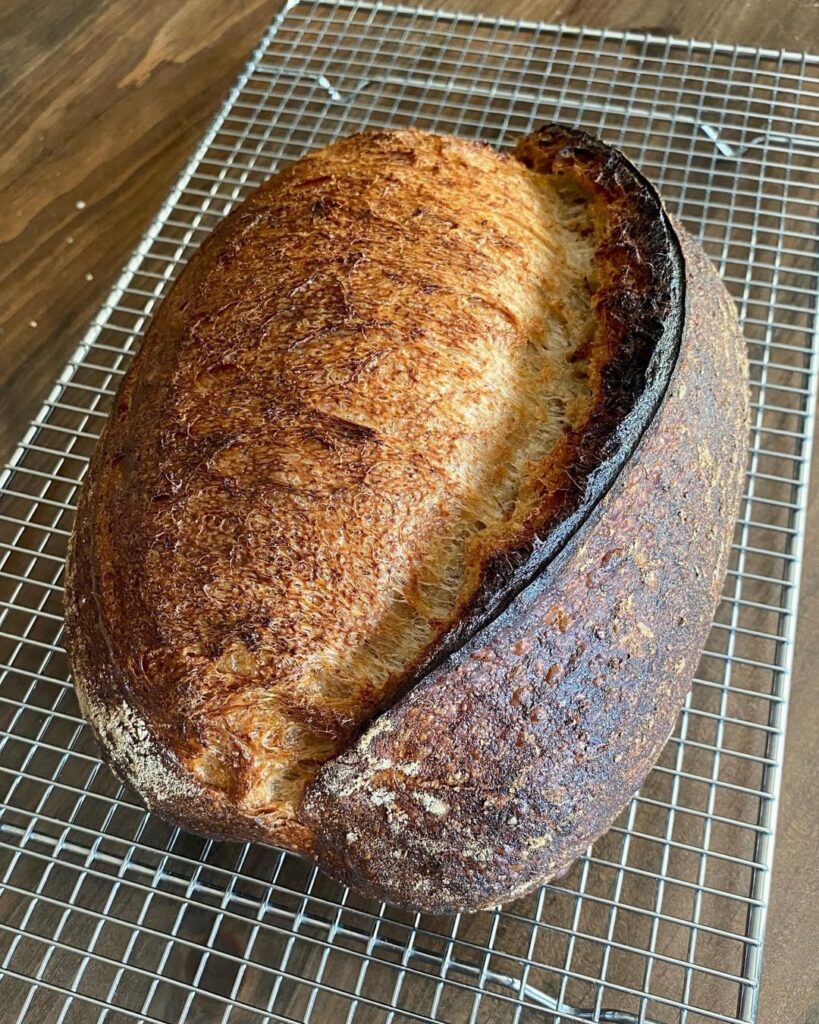 20% Whole Grain Red Fife