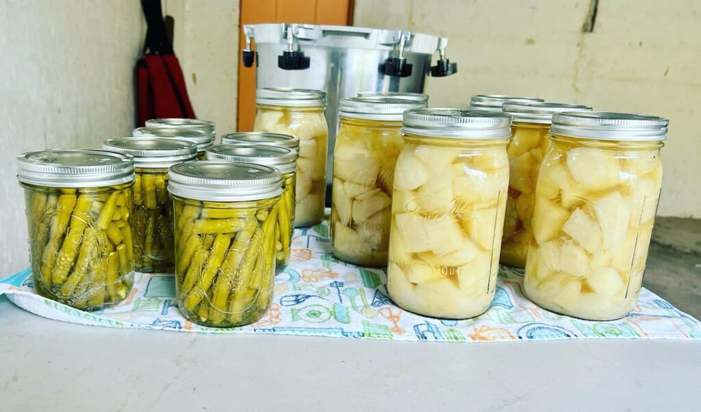 Pressure canned some green beans & potatoes today from my garden in this glorious and-free-to-me All American that I was just bestowed. So happy!