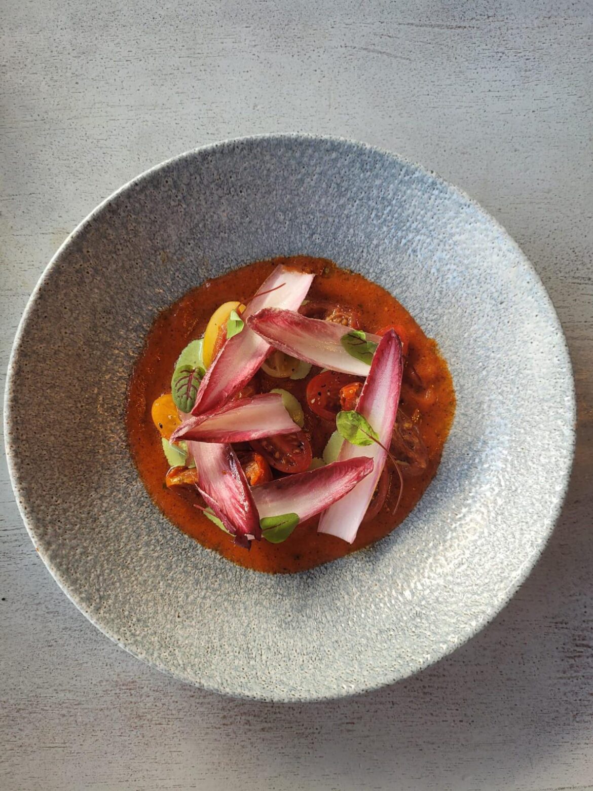 Roasted red pepper Gazpacho • heirloom tomato and sun blush tomato salad • dressed chicory • oregano and mint whipped burrata